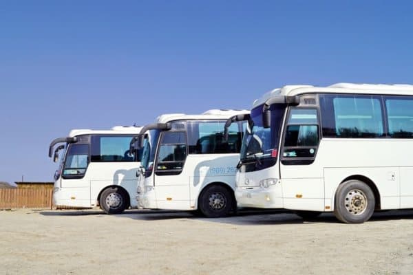 автобусы на 20-30 мест