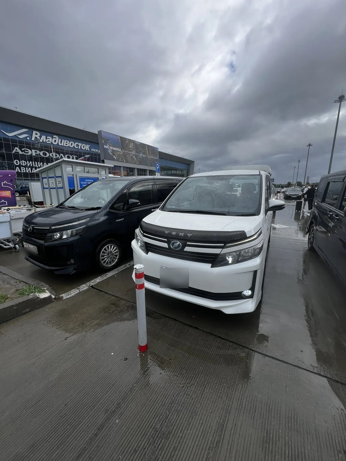 VIP-шаттлы и представительские автомобили на территории кампуса